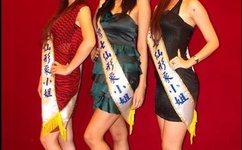 媳妇的眼泪下载